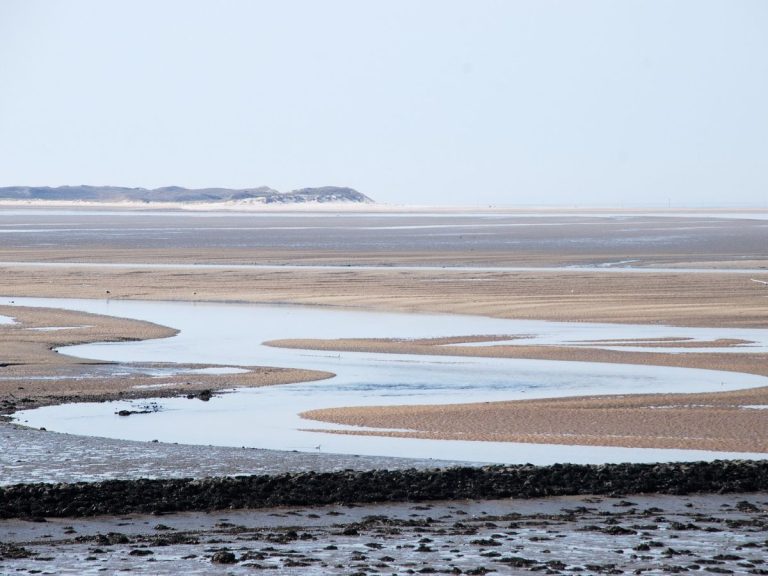 Priel im Wattenmeer